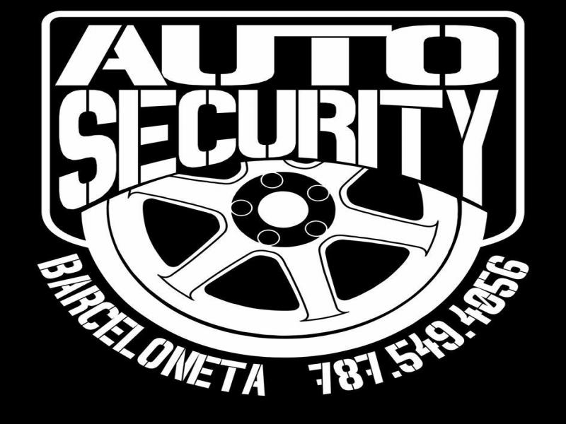 Auto Security